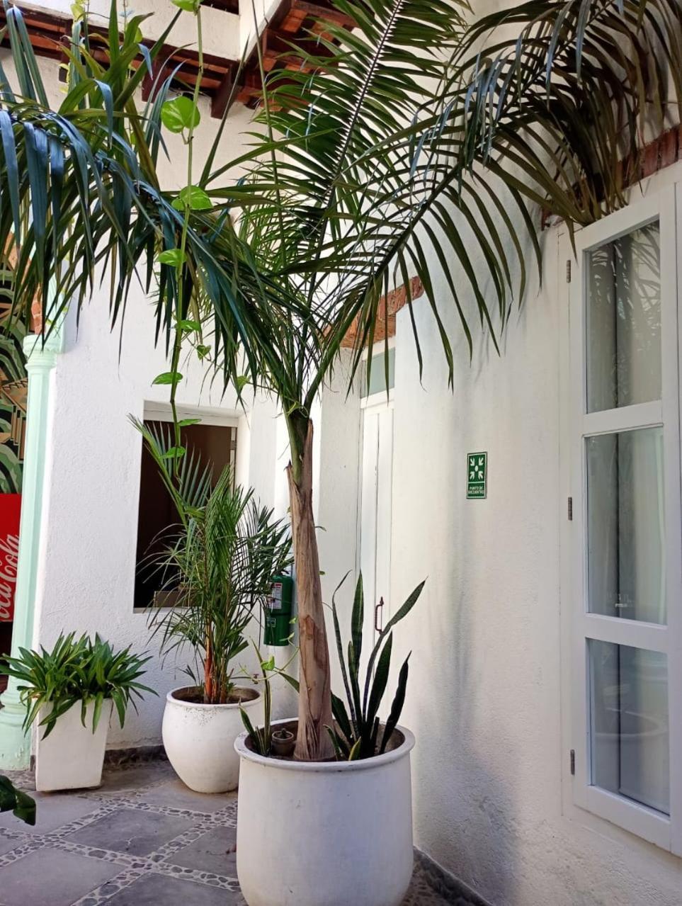 Casa Verde Hotel Santa Marta  Luaran gambar