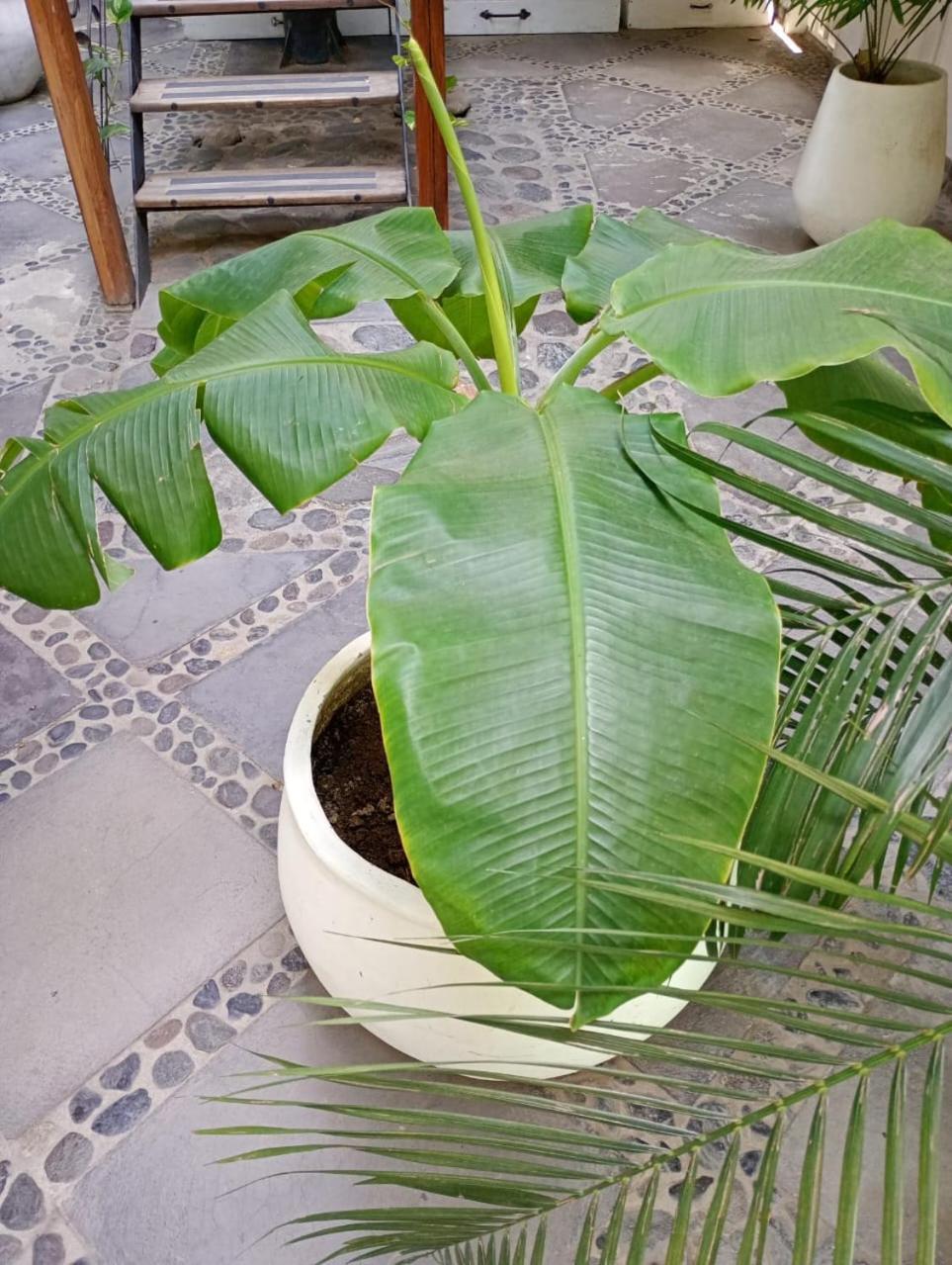 Casa Verde Hotel Santa Marta  Luaran gambar