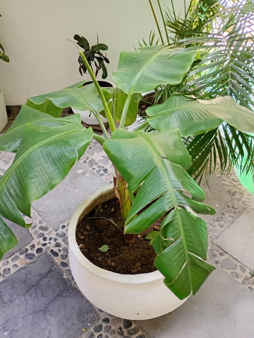 Casa Verde Hotel Santa Marta  Luaran gambar